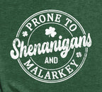 St Patrick's Day Prone to Shenanigans and Malarkey Tshirt - St Patty's Day Shirt