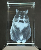 Personalized Inner Engraved Keepsake High Quality K9 Crystal w/ LED Base